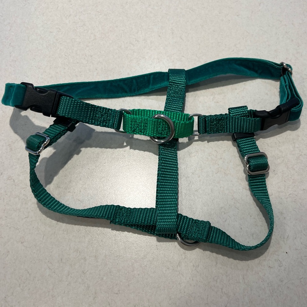 NIB 2 HOUNDS Design Freedom No Pull Harness Kelly Green Size: 5/8” Small